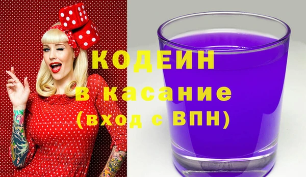 соль ск Вяземский