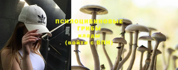 соль курить ск Вязьма