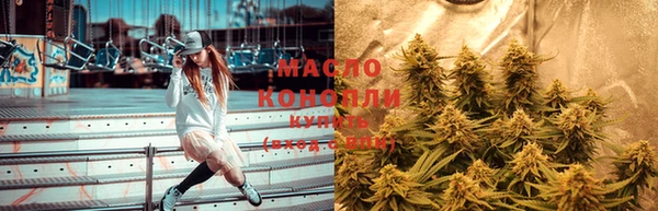 соль ск Вяземский