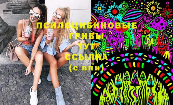 соль ск Вяземский