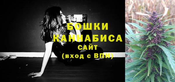 соль ск Вяземский